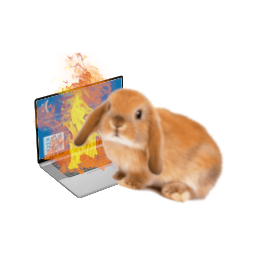One of the bunnies hard at work setting fire to their laptop working on the site.